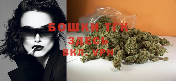 PSILOCYBIN Балахна